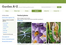 VetPhotospg.jpg