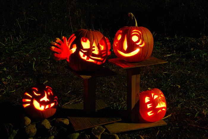 Pumpkins1167.jpg