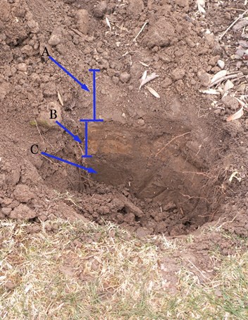 SoilProfileTenInch.jpg