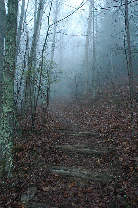 MistyPath2424.jpg