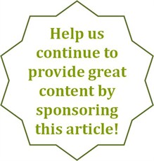 White Burst With Green - Sponsor